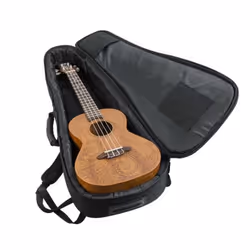 Gator Cases GB-4G-UKE TEN