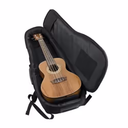 Gator Cases GB-4G-UKE CON
