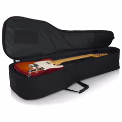 Gator Cases Acoustic/Electric Double Gig Bag