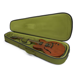 Gator Cases G-ICON335-GRN boîtier pour instruments de musique à corde