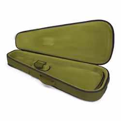Gator Cases G-ICON335-GRN boîtier pour instruments de musique à corde