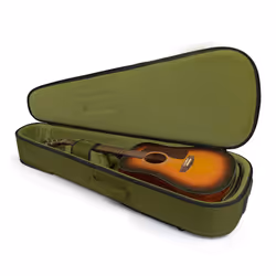 Gator Cases G-ICONDREAD-GRN, Étui sac à dos, Vert, Tissu, Nylon, Velours, Vert, Tissu, Fermeture à glissière