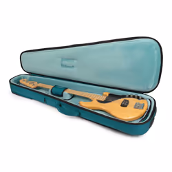 Gator Cases G-ICONBASS-BLU, Étui sac à dos, Vert, Tissu, Nylon, Velours, Vert, Tissu, Fermeture à glissière