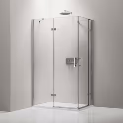 Paroi de douche fixe et porte pivotante DX407 - largeur sélectionnable Porte pivotante avec système de relevage et paroi laté ...