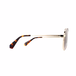 Lunettes de soleil Polaroid PLD-6069-S-X-J5G-LA