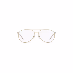 HUGO BOSS 0716736199160 verre à la mode