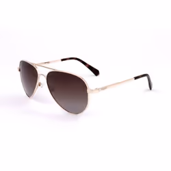 Polaroid Lunettes de soleil Femme PLD 6012_N_NEW
