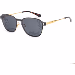 Lunettes de soleil Polaroid pour Mixte  PLD6119G-CS-J5G