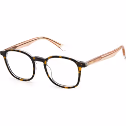 Lunettes de vue Polaroid pour Homme PLD-D393-KRZ