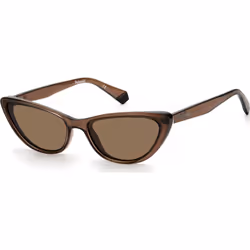 LUNETTES DE SOLEIL POLAROID PLD-6142-S-09Q-SP