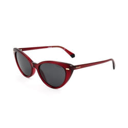 LUNETTES DE SOLEIL POLAROID PLD4109-C9A