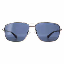 Lunettes de soleil Polaroid PLD-2119-G-S-J5G-C3