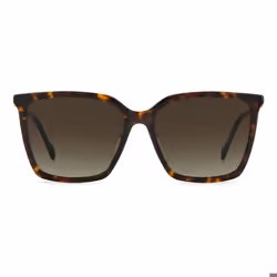 Lunettes de soleil Jimmy Choo TOTTA-GS-086