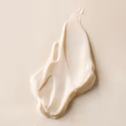 Plantscription crème raffermissante puissante 50 ml