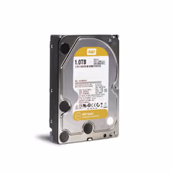 Western Digital Gold 3.5" 1 To Série ATA III