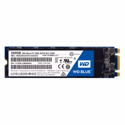 Western Digital Blue PC M.2 250 Go