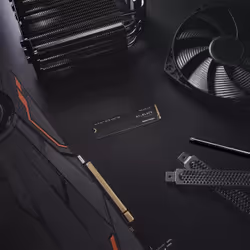 Western Digital Black SN770 M.2 2 To PCI Express 4.0 NVMe - Vue supplémentaire 4