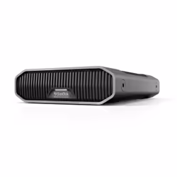 SanDisk G-DRIVE, 24 To, 3.2 Gen 2 (3.1 Gen 2), 7200 tr/min, Acier inoxydable