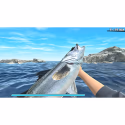 Natsume Reel Fishing: Road Trip Adventure Standard PlayStation 4