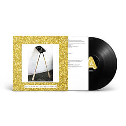 ImportCDs Joy As An Act Of Resistance Vinyl Pop rock