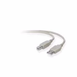 Belkin USB A/B 3m, 3 m, USB A, USB B, USB 2.0, Mâle/Mâle, Gris