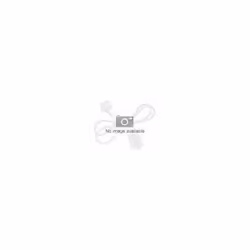 Datalogic 95A051041, Noir, Mâle, Mâle