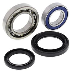 All Balls Kit roulements de roue arrière Yamaha YFM450 Wolverine 4x4