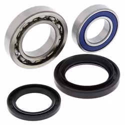 All Balls Kit roulements de roue arrière Yamaha YFM450 Wolverine 4x4