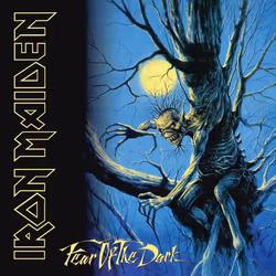 PLG Music Fear of the Dark, Heavy metal, CD, Iron Maiden, Support physique, Adultes, 1 disques