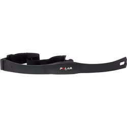 Polar T31