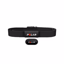 Polar Équine + H10 Trotteur Capteur de fréquence cardiaque pour chevaux