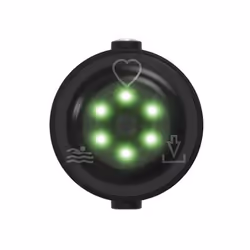 Polar Verity Sense moniteur de fréquence cardiaque Poignet Bluetooth/ANT+ Noir - Vue supplémentaire 5