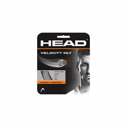 Cordage de tennis Head Velocity MLT