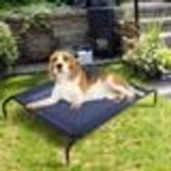 Lit sur Pieds pour Chien Chat - COSTWAY - Taille L - Capacité 45KG - Tissu Textilène