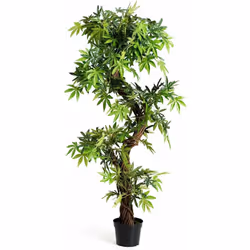 À propos de cet article 【Matériaux de haute qualité】La plante artificielle se compose d'un tronc de bois véritable de haute q ...