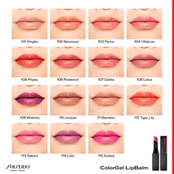 Colorgel lipbalm #104-hibiscus