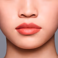 Lipliner inkduo #04-rosewood