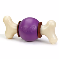 Jouet interactif pour chien PetSafe Bouncy Bone