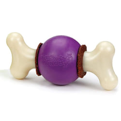 Jouet interactif pour chien PetSafe Bouncy Bone
