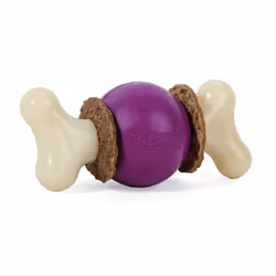 Jouet interactif pour chien PetSafe Bouncy Bone