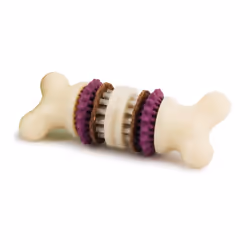Jouet à mâcher pour chien PetSafe Bristle Bone