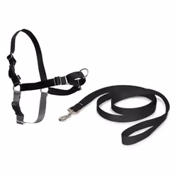 EASY WALK Harnais M - Noir - Pour chien