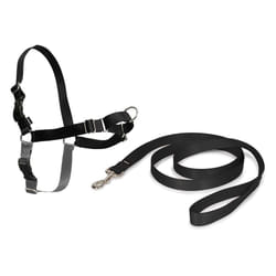EASY WALK Harnais M - Noir - Pour chien