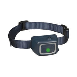 Collier anti-fugue pour chien Nobby Pet
