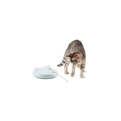 Jouet laser pour chat PetSafe Zip™