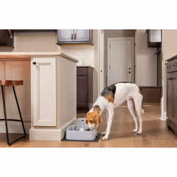 PetSafe PWW19-16778 gamelle et abreuvoir pour chiens et chats Plastique Gris Universel Fontaine à eau automatique pour animaux de compagnie - Vue supplémentaire 2