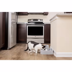 PetSafe PWW19-16778 gamelle et abreuvoir pour chiens et chats Plastique Gris Universel Fontaine à eau automatique pour animaux de compagnie - Vue supplémentaire 3