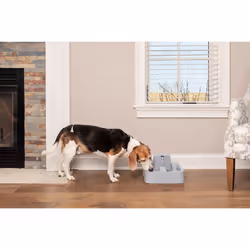 PetSafe PWW19-16778 gamelle et abreuvoir pour chiens et chats Plastique Gris Universel Fontaine à eau automatique pour animaux de compagnie - Vue supplémentaire 4