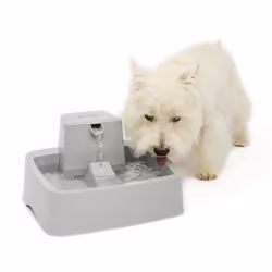 PetSafe PWW19-16778 gamelle et abreuvoir pour chiens et chats Plastique Gris Universel Fontaine à eau automatique pour animaux de compagnie - Vue supplémentaire 5