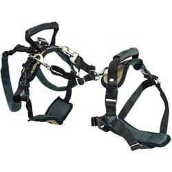 Harnais de soutien - PetSafe - CareLift - Moyen - Noir - Intérieur